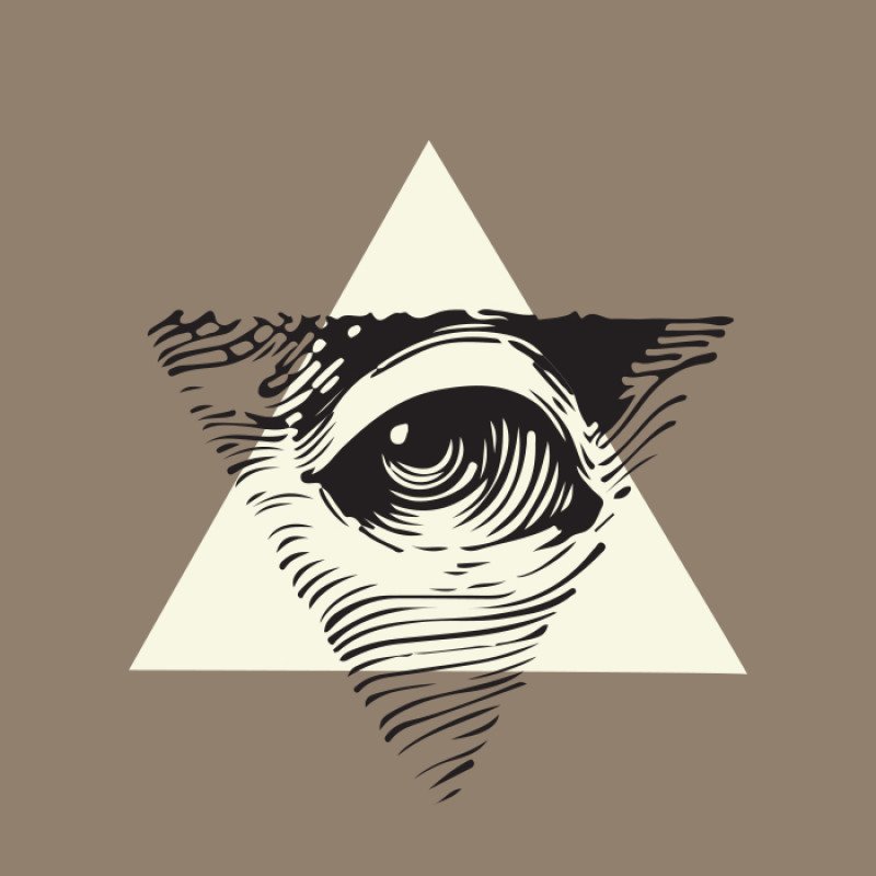 REDISTANCE WHO RULES HOODIE