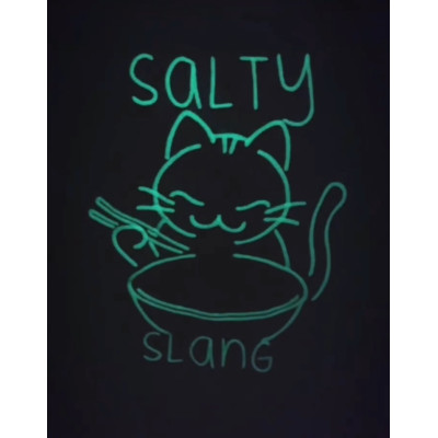 SALTY SLANG  NOODLE CAT ZIP HOODIE SLU225TC09-2020