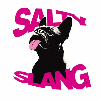 SALTY SLANG BAHA DOG HOODIE SLU225TM10-07
