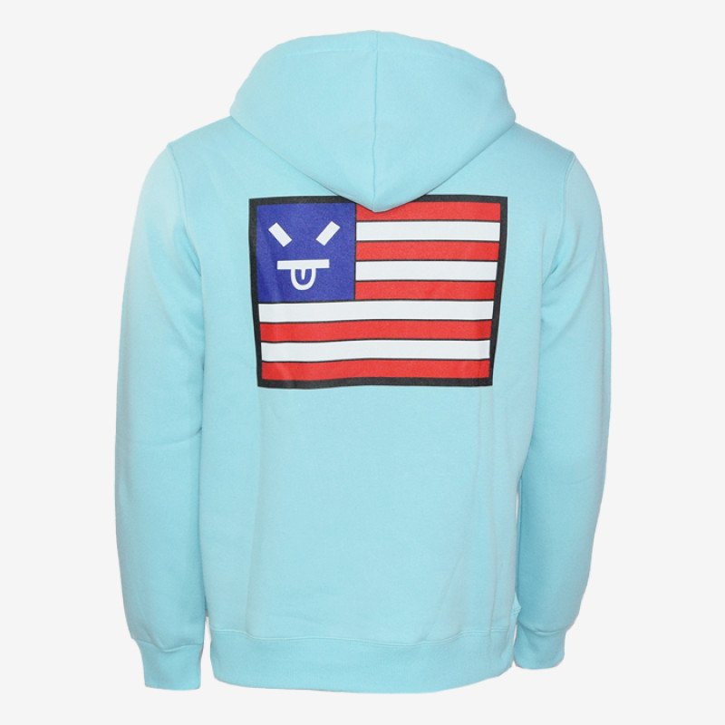 SALTY SLANG USA FLAG HOODIE SLU223TM06-3737