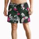 SALTY SLANG GEISHA SWIMSHORT SLM126BH03-15